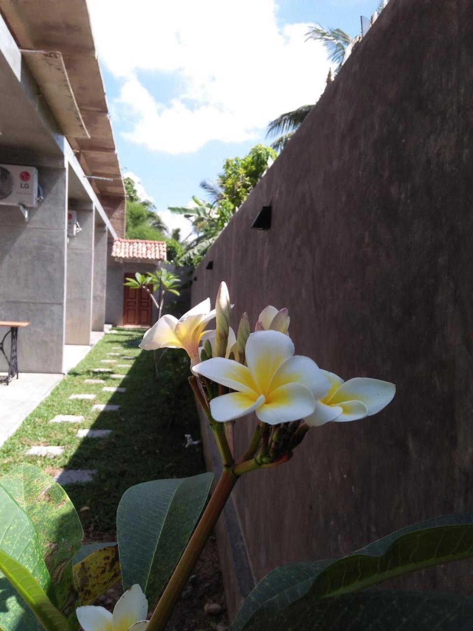N 34 Hotel Mirissa Luaran gambar